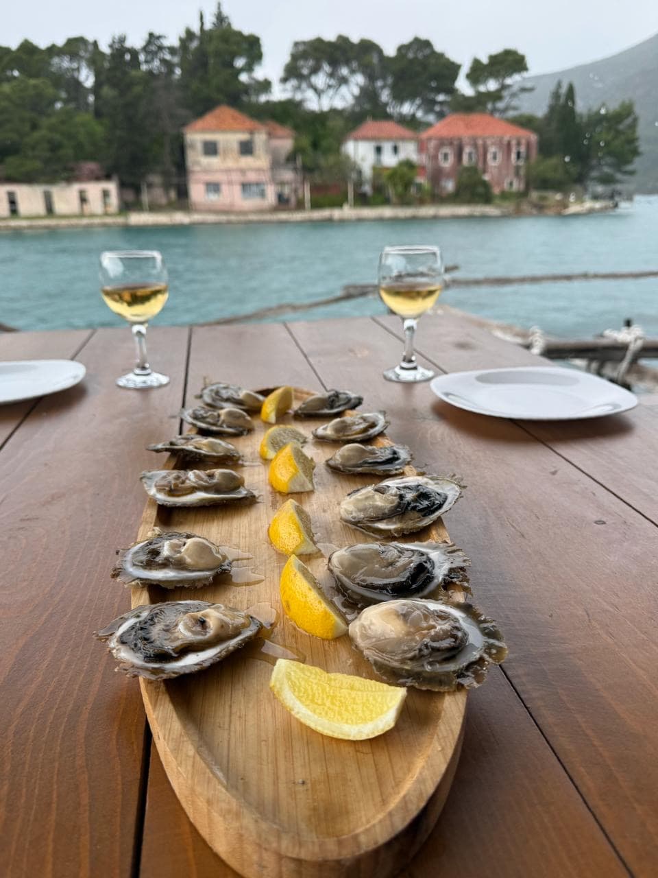Fresh Oysters from the Adriatic