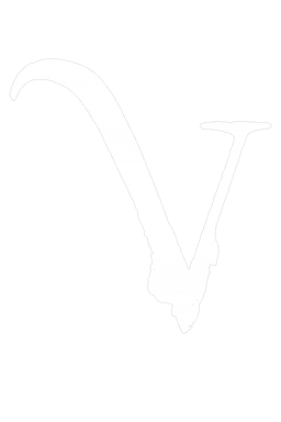 VIBE Croatia logo